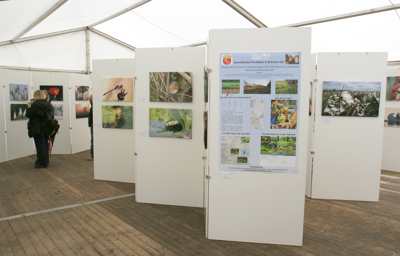 Planung  und Druck von Ausstellungen